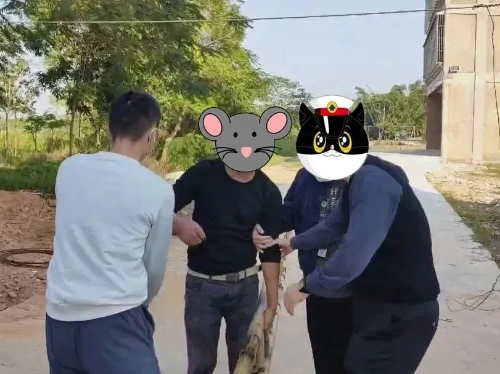 转存图片