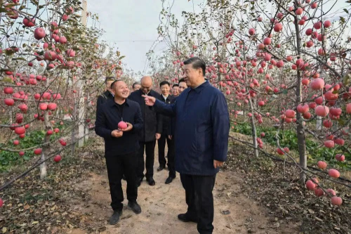 转存图片