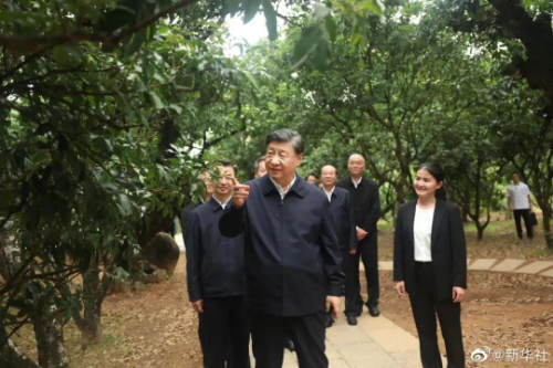 转存图片