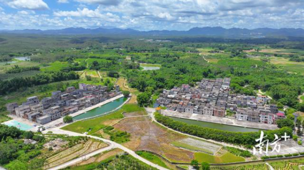 东成镇横岗头村。 