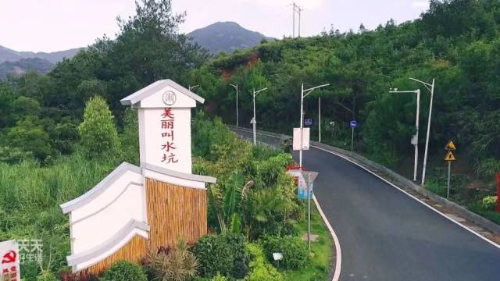 美丽乡村叫水坑村。