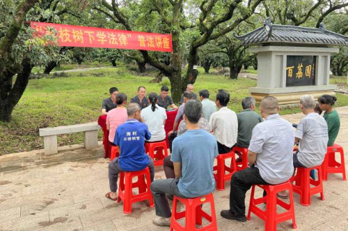 金山法庭干警前往根子镇柏桥村百荔园，组织开展“荔枝树下学法律”普法讲座。