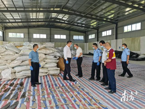 图为市场监管部门查处走私“黑窝点”照片。