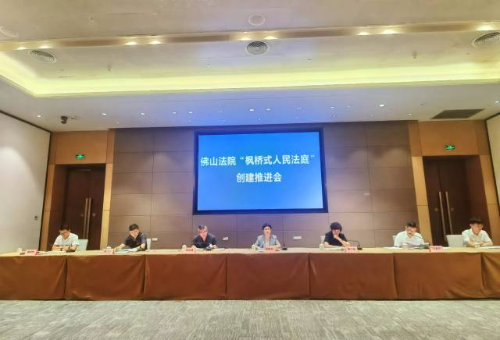 广东省高院副院长林碧艳讲话。唐梦 摄