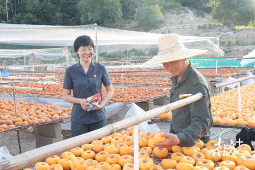 饶平县因地制宜探索“浮山柿饼和解工作法”。