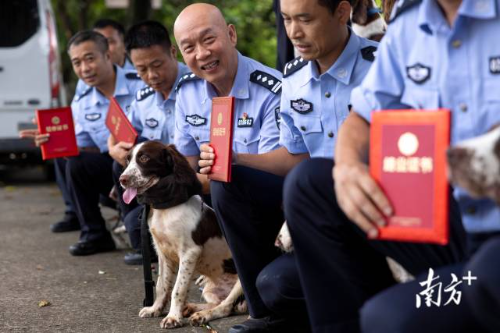 第二期幼犬培训班毕业礼上，训导员和警犬们共同留影。