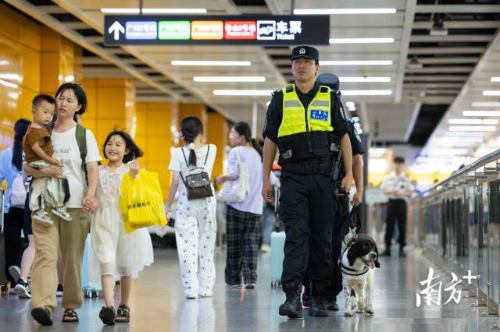暑运期间，警犬“花卷”和“天天”跟随着训导员在广州南站地铁站进行例行安全检查。