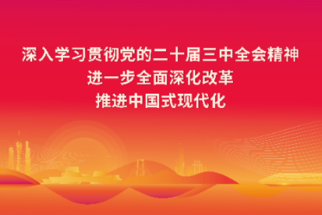 学习宣传贯彻党的二十届三中全会精神