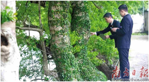 已编辑图片