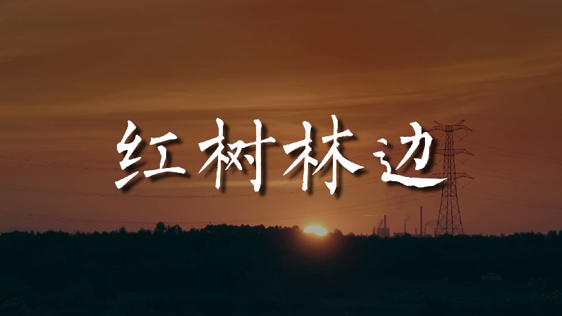 红树林边