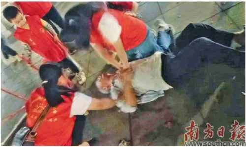 已编辑图片