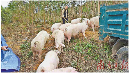 已编辑图片