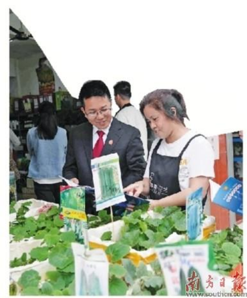 c87a4f30-c378-4c12-a93c-3fedc2b122eb.jpg