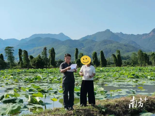 台山法院法官（左一）到莲藕田现场勘验。