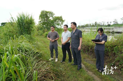 开平法院法官实地走访勘察现场查症结,精准锁定争议点。 受访者 供图 开平法院法官实地走访勘察现场查症结,精准锁定争议点。 受访者 供图