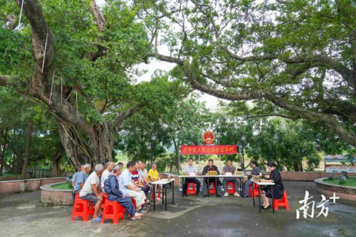 榕树下开庭。 受访者 供图 榕树下开庭。 受访者 供图